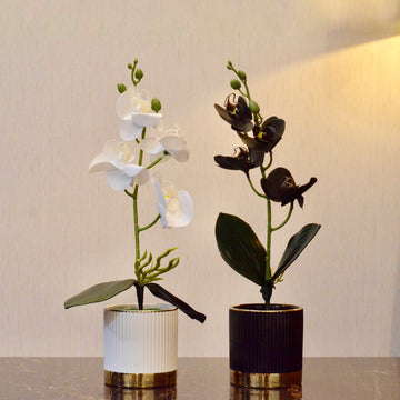 Faux Orchid Arrangement in Ceramic Pot - Premium Engraved Elegance