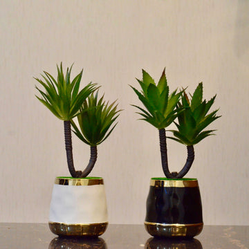 Chic Greenery & Sculptural Art in Ceramic Pot