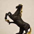 Majestic Harmony Gilded-Maned Black Horse