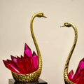Swan Symphony Golden Grace with Pink Sparkle